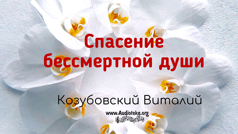 Обложка: Спасение бессмертной души – Виталий Козубовский