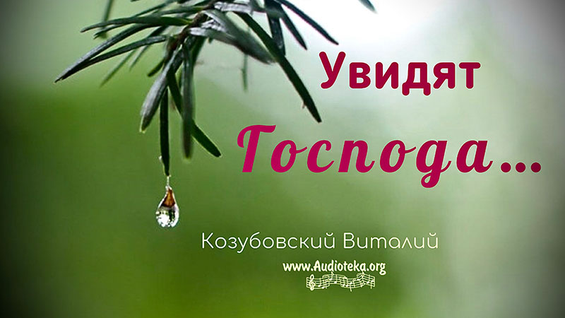 Обложка: Увидят Господа – Виталий Козубовский