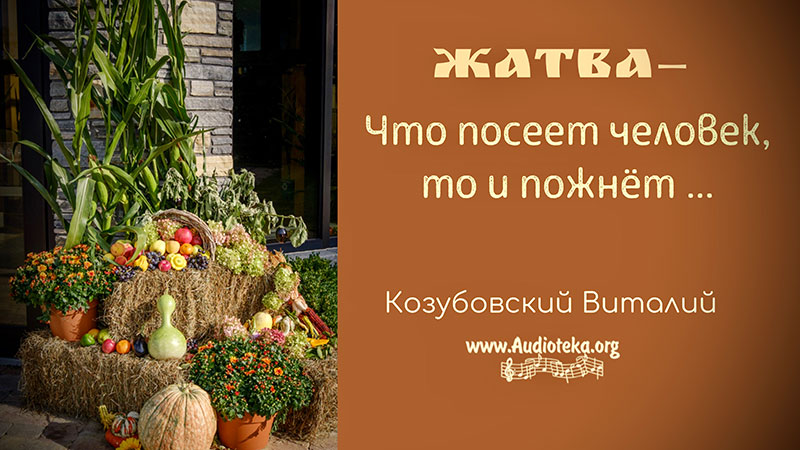 Обложка: Жатва – Что посеет человек, то и пожнет – Виталий Козубовский