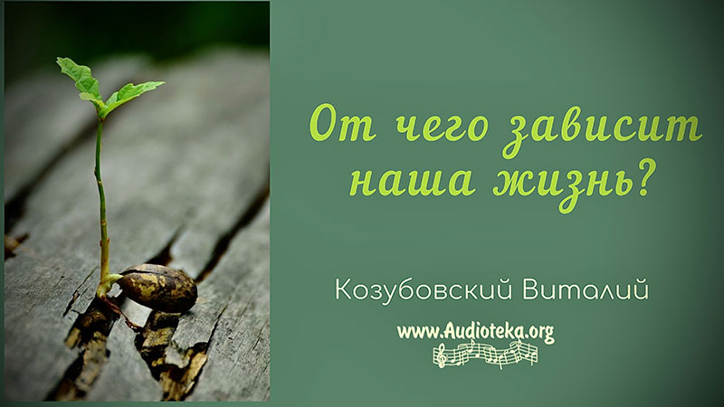 Обложка: От чего зависит наша жизнь – Виталий Козубовский