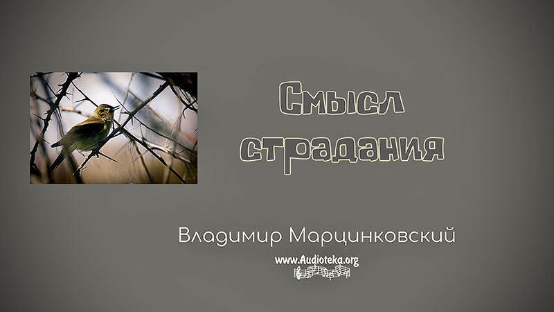 Обложка: Смысл страдания 01 – Владимир Марцинковский