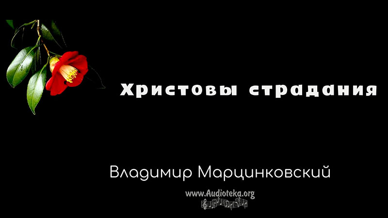 Обложка: Христовы страдания  – Владимир Марцинковский