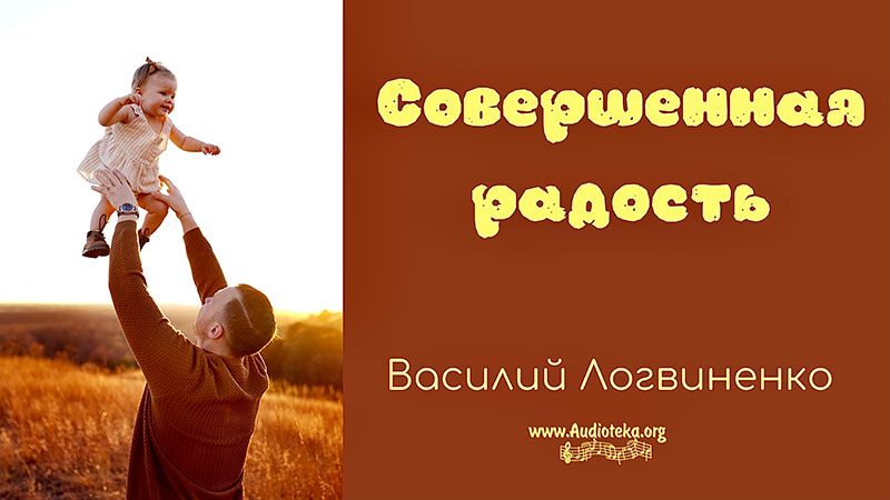 Обложка: Совершенная радость – Василий Логвиненко