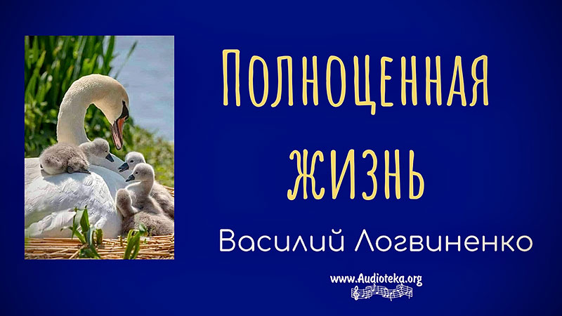 Обложка: Полноценная жизнь – Василий Логвиненко
