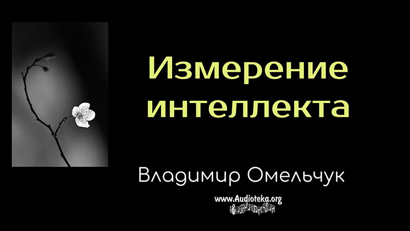 Обложка: Измерение интеллекта – Владимир Марцинковский