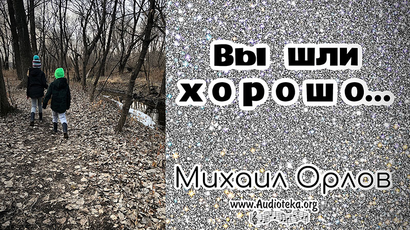 Обложка: Вы шли хорошо – Михаил Орлов