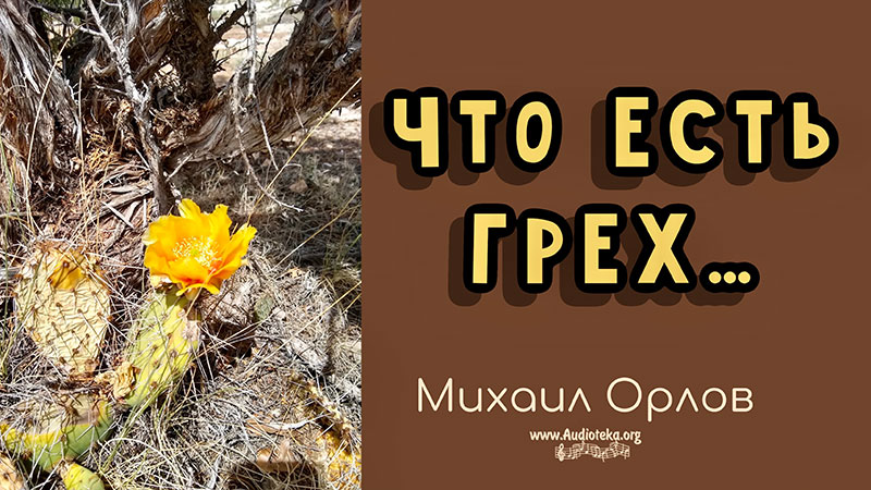 Обложка: Что есть грех – Михаил Орлов