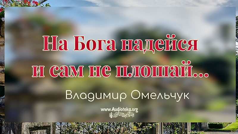 Обложка: На Бога надейся и сам не плош – Владимир Омельчук