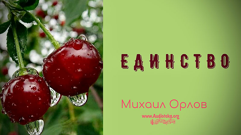 Обложка: Единство – Михаил Орлов