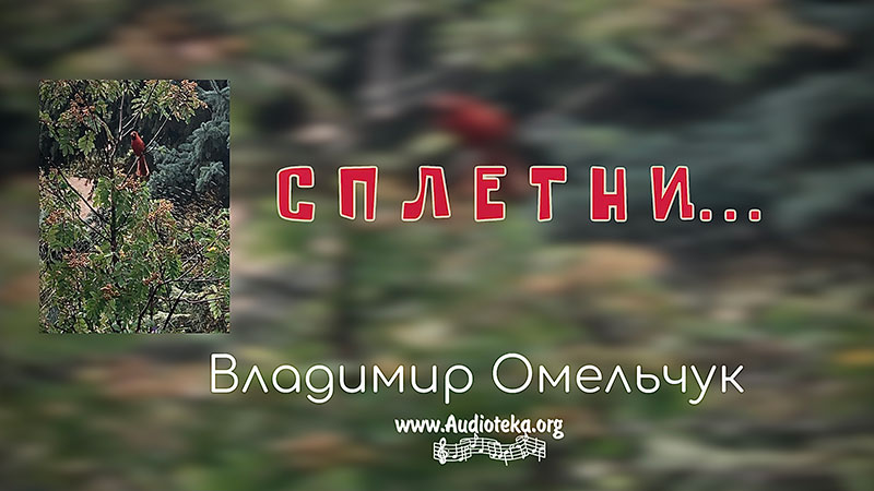 Обложка: Сплетни – Владимир Омельчук