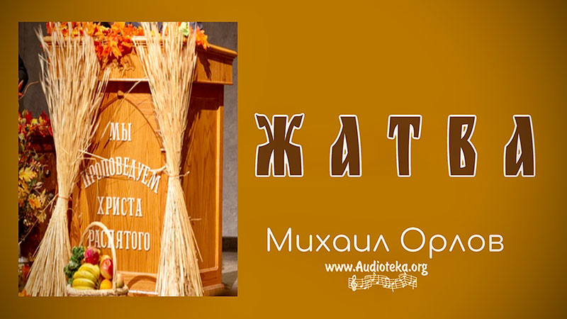 Обложка: Жертва – Михаил Орлов