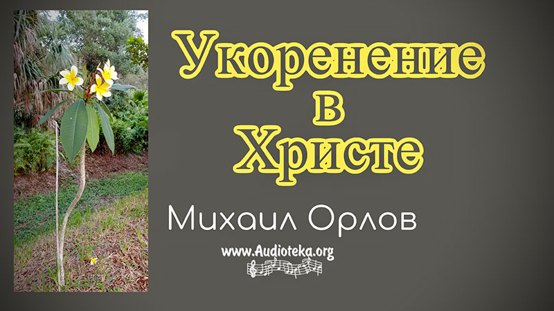 Обложка: Укоренение в Христе – Михаил Орлов