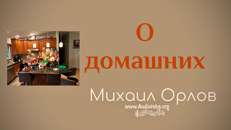 Обложка: О домашних – Михаил Орлов