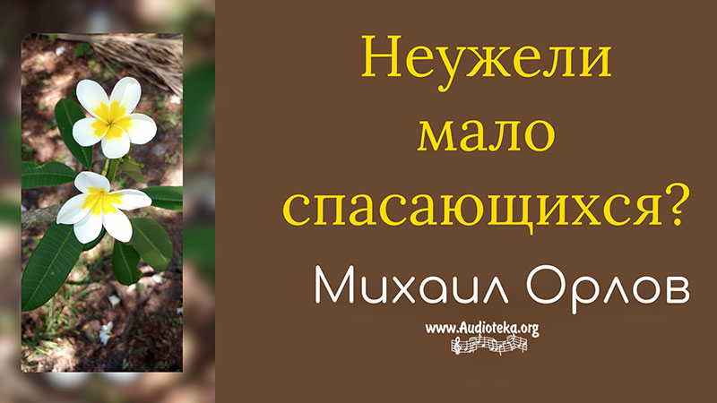 Обложка: Неужели мало спасающихся – Михаил Орлов
