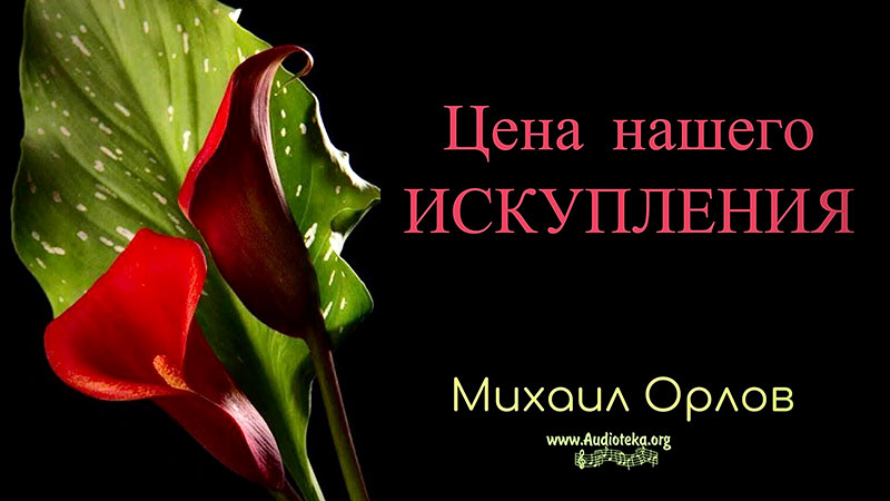 Обложка: Цена нашего искупления – Михаил Орлов