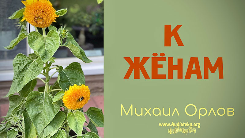 Обложка: К жёнам – Михаил Орлов