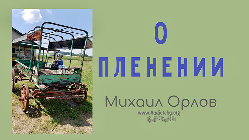Обложка: О пленении – Орлов Михаил