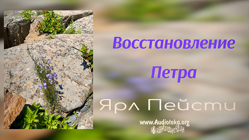 Обложка: Восстановление Петра  – Ярл Пейсти