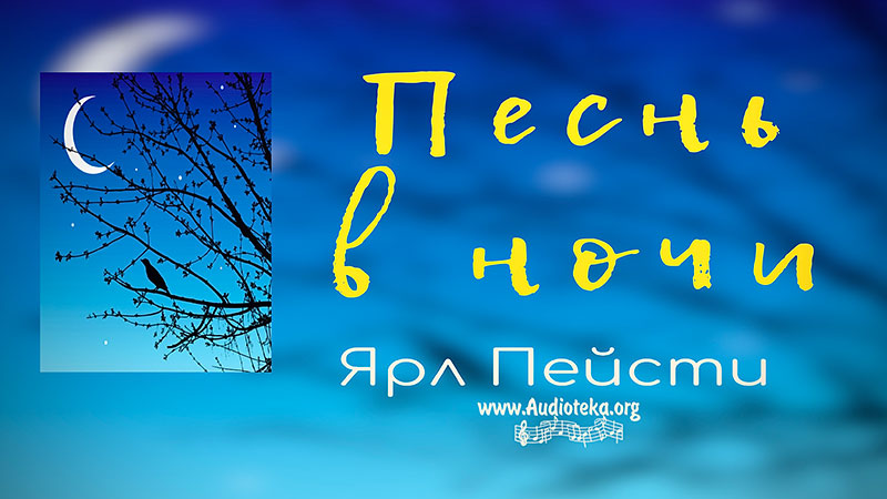 Обложка: Песнь в ночи – Ярл Пейсти