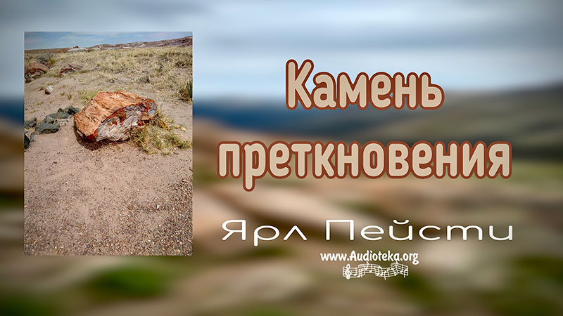 Обложка: Камень преткновения – Ярл Пейсти
