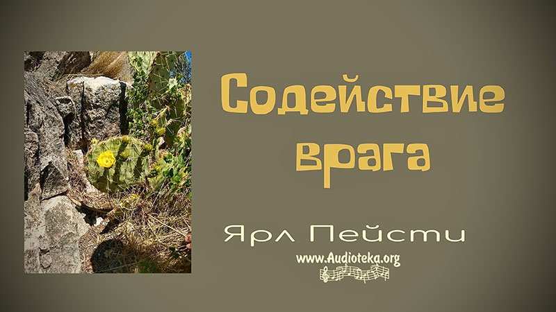 Обложка: Содействие врага – Ярл Пейсти