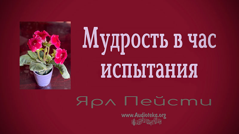 Обложка: Мудрость в час испытания  – Ярл Пейсти
