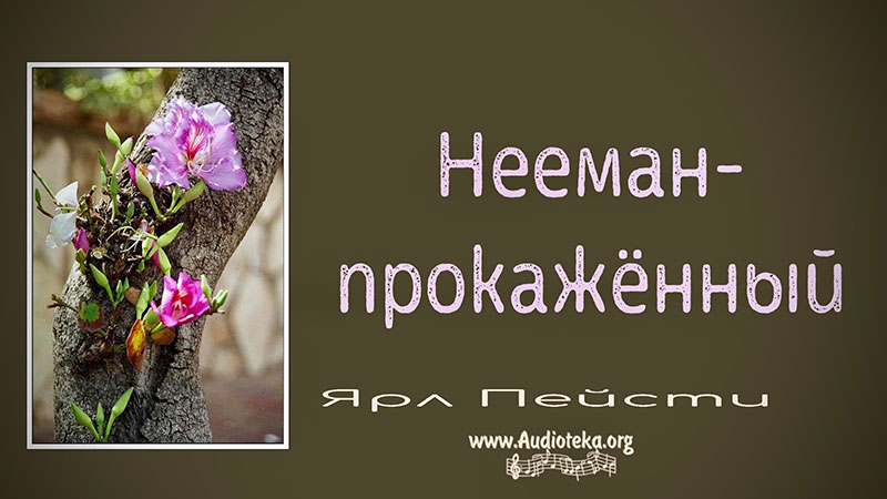 Обложка: Нееман – Ярл Пейсти