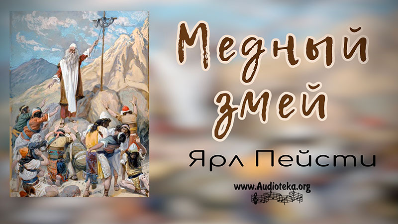 Обложка: Медный змей – Ярл Пейсти