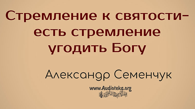 Обложка: Стремление к святости – есть стремление угодить Богу – Семенчук Александр